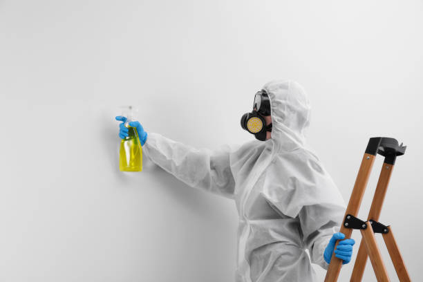 Best Environmental Consulting for Mold Prevention  in Pelham, AL